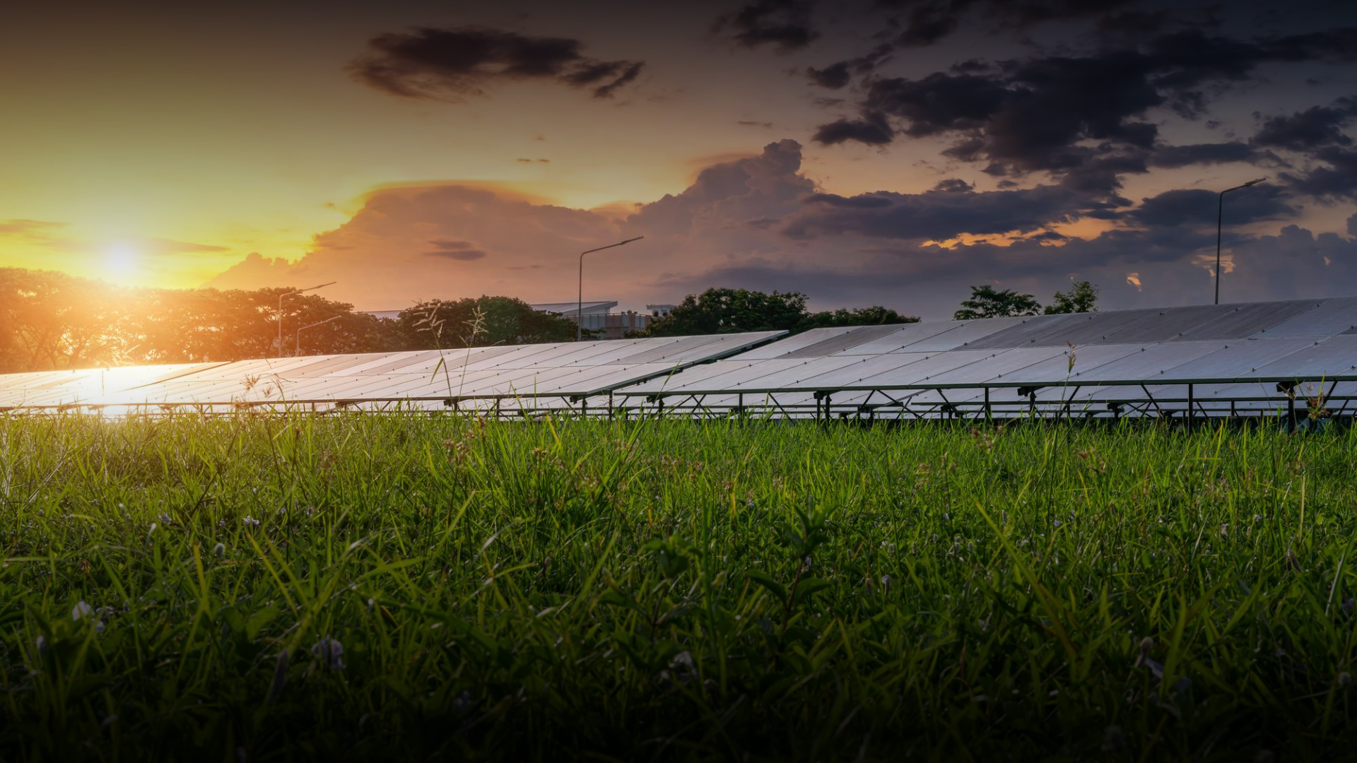 Energia Solar para o Agronegócio